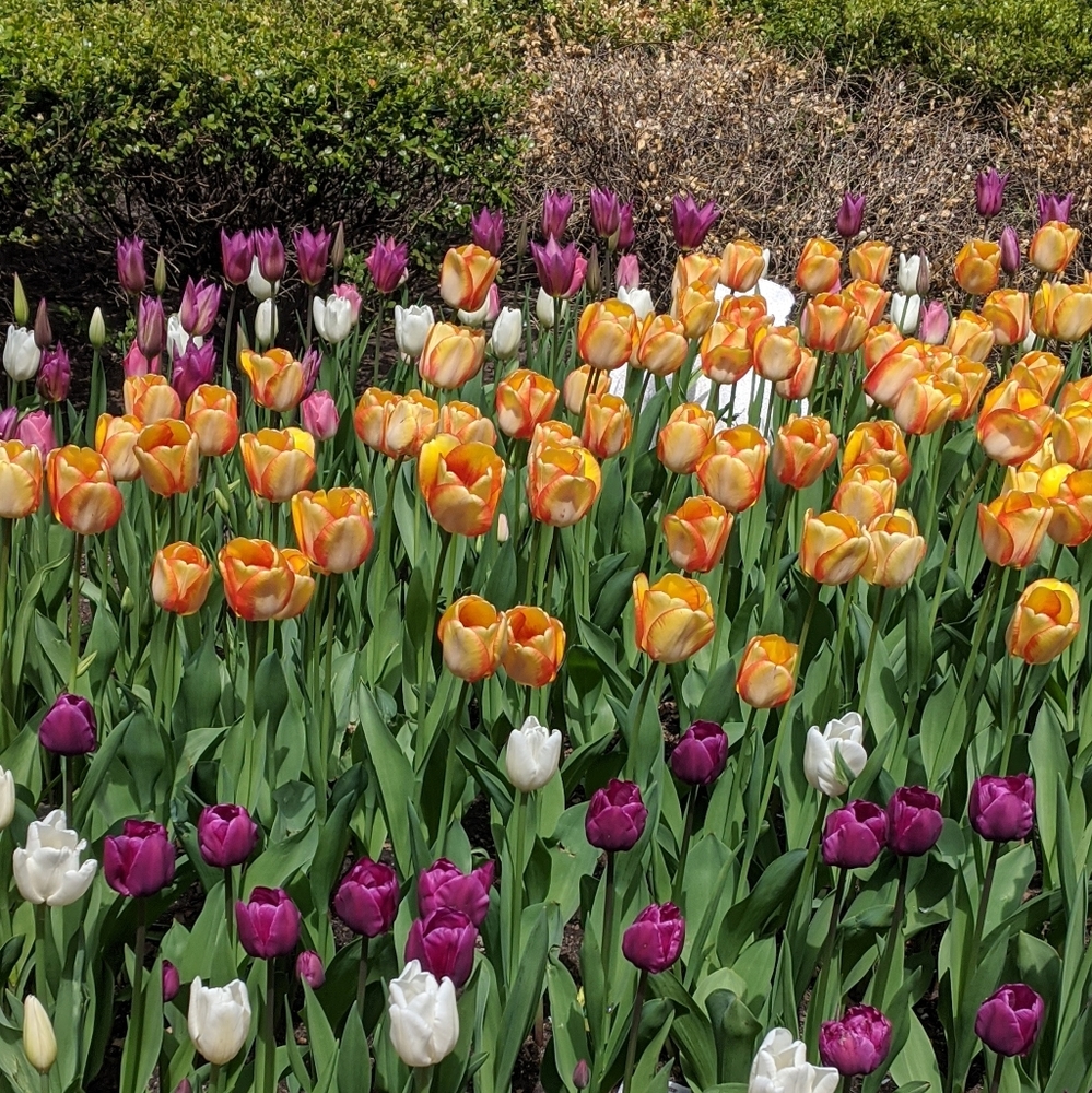 Meet your Posher, Ruth